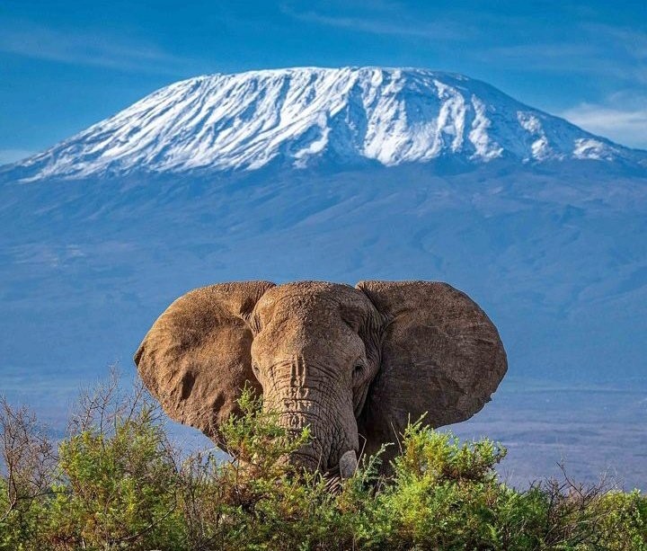 Top 10 Best Safari Parks