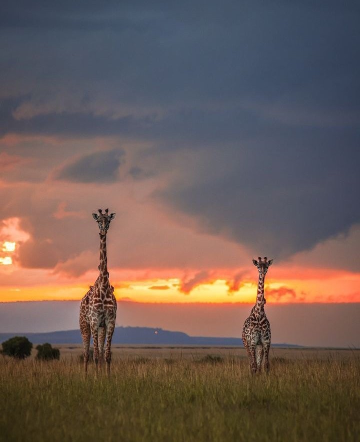 Africa’s Top National Parks.