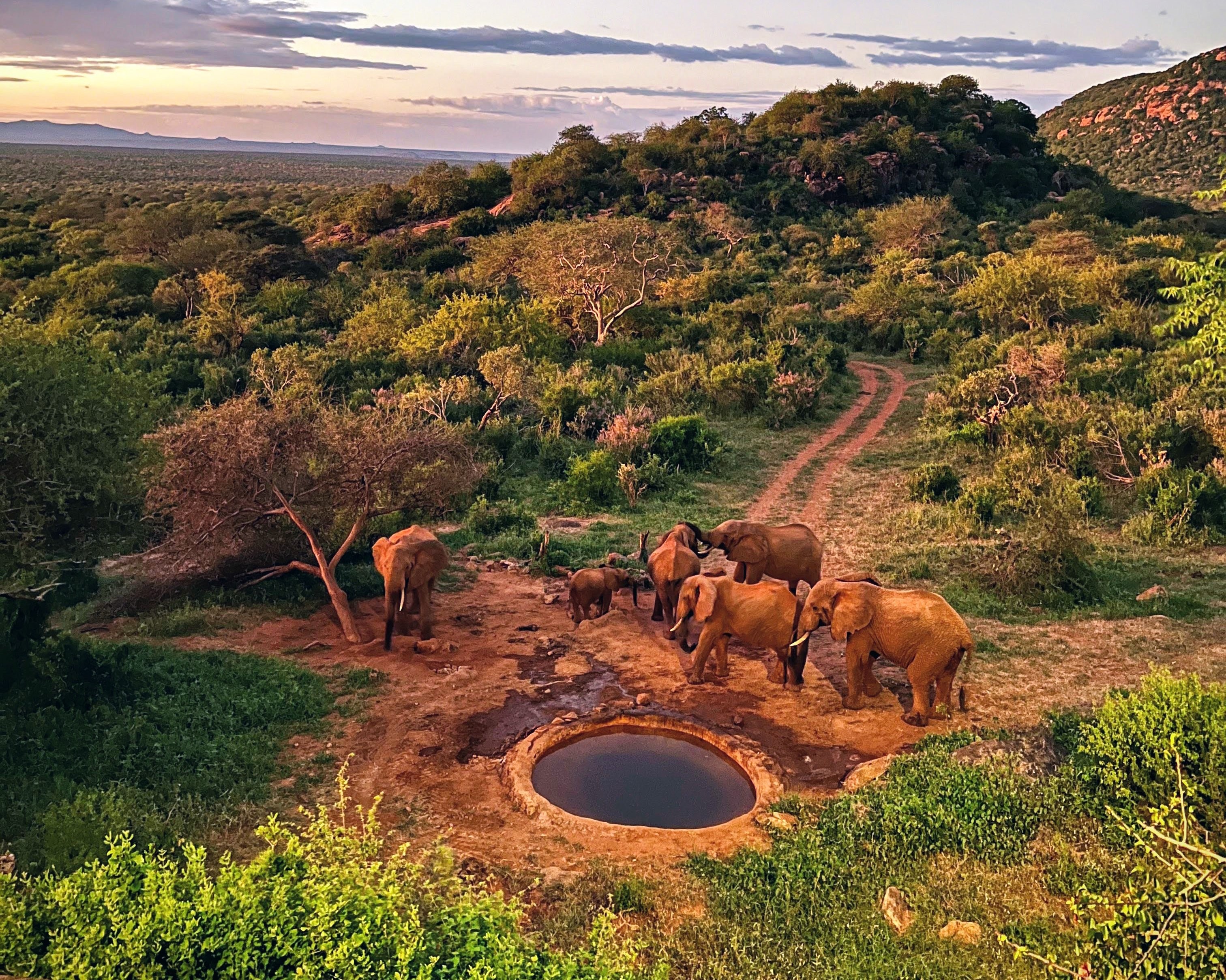 4 Days 3Nights Masai Mara Budget Safari