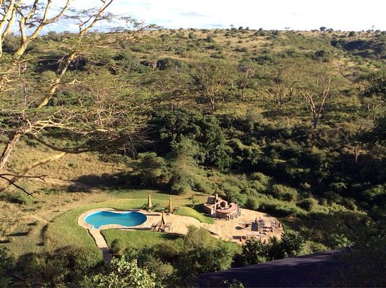 WILDLIFE MIGRATION TOURS