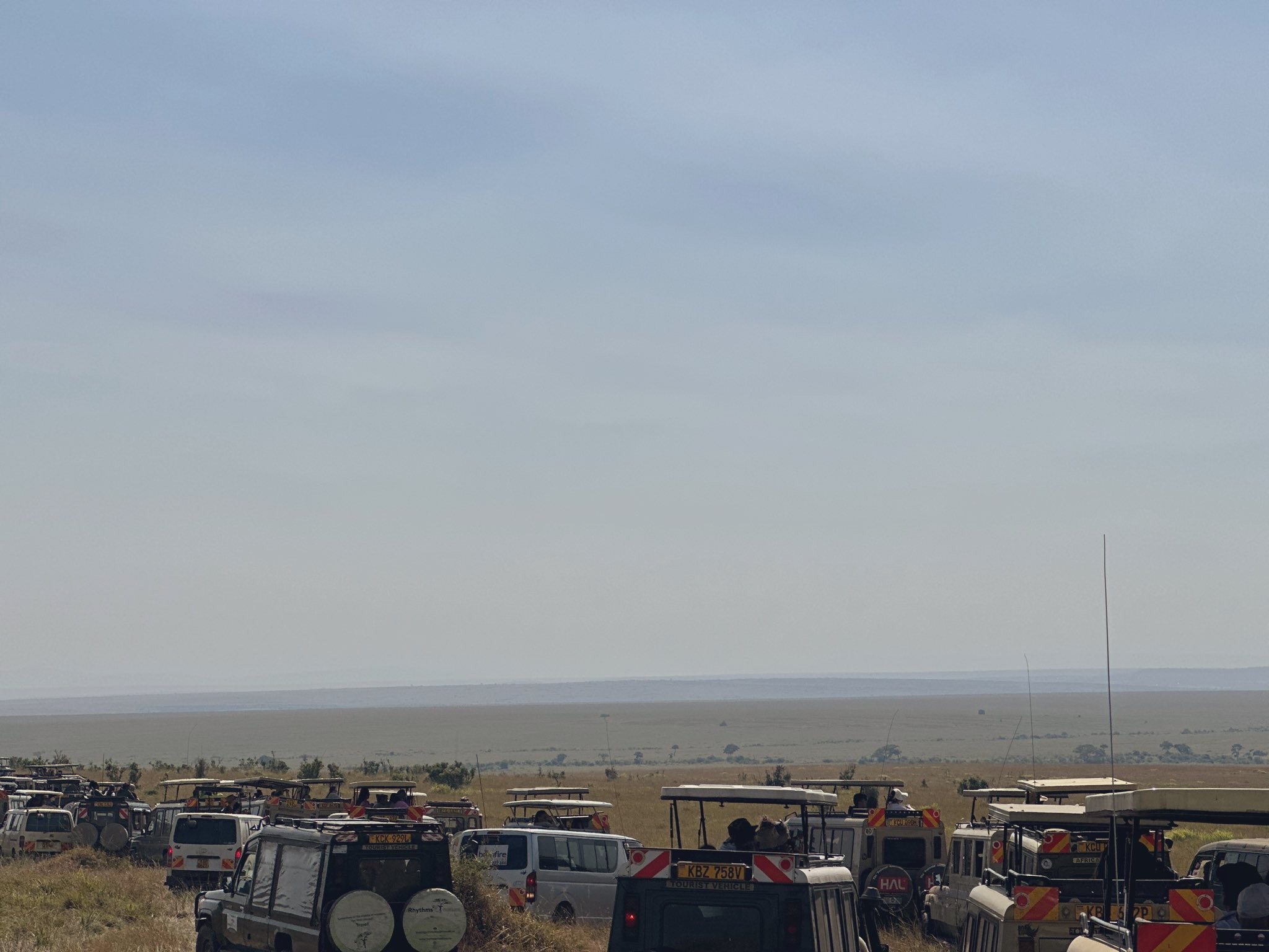 WILDLIFE MIGRATION TOURS