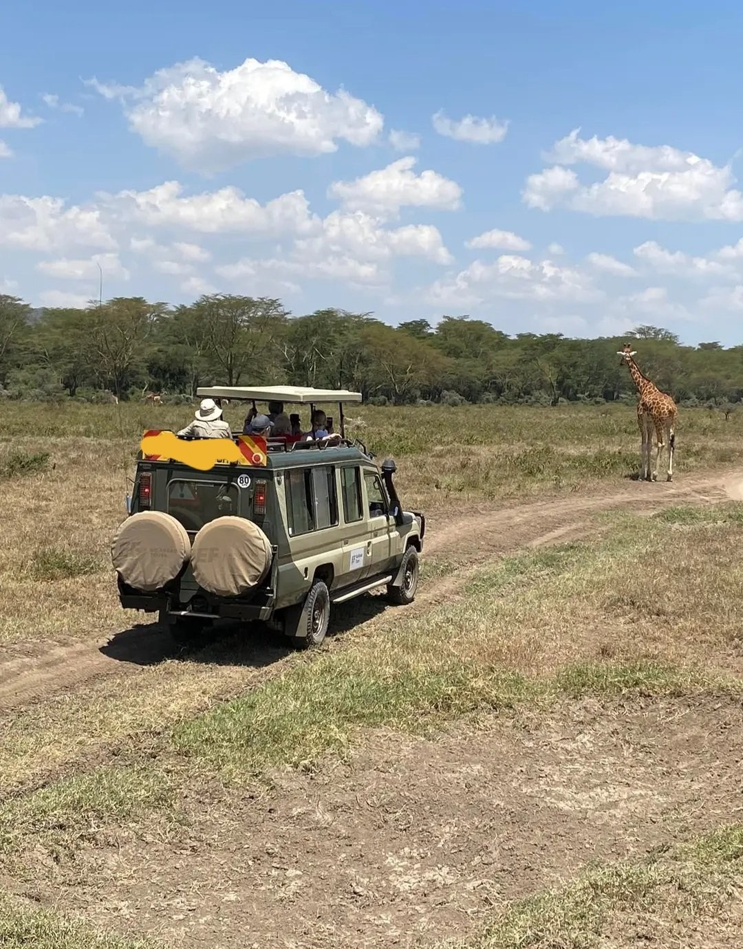 Kenya budget safaris