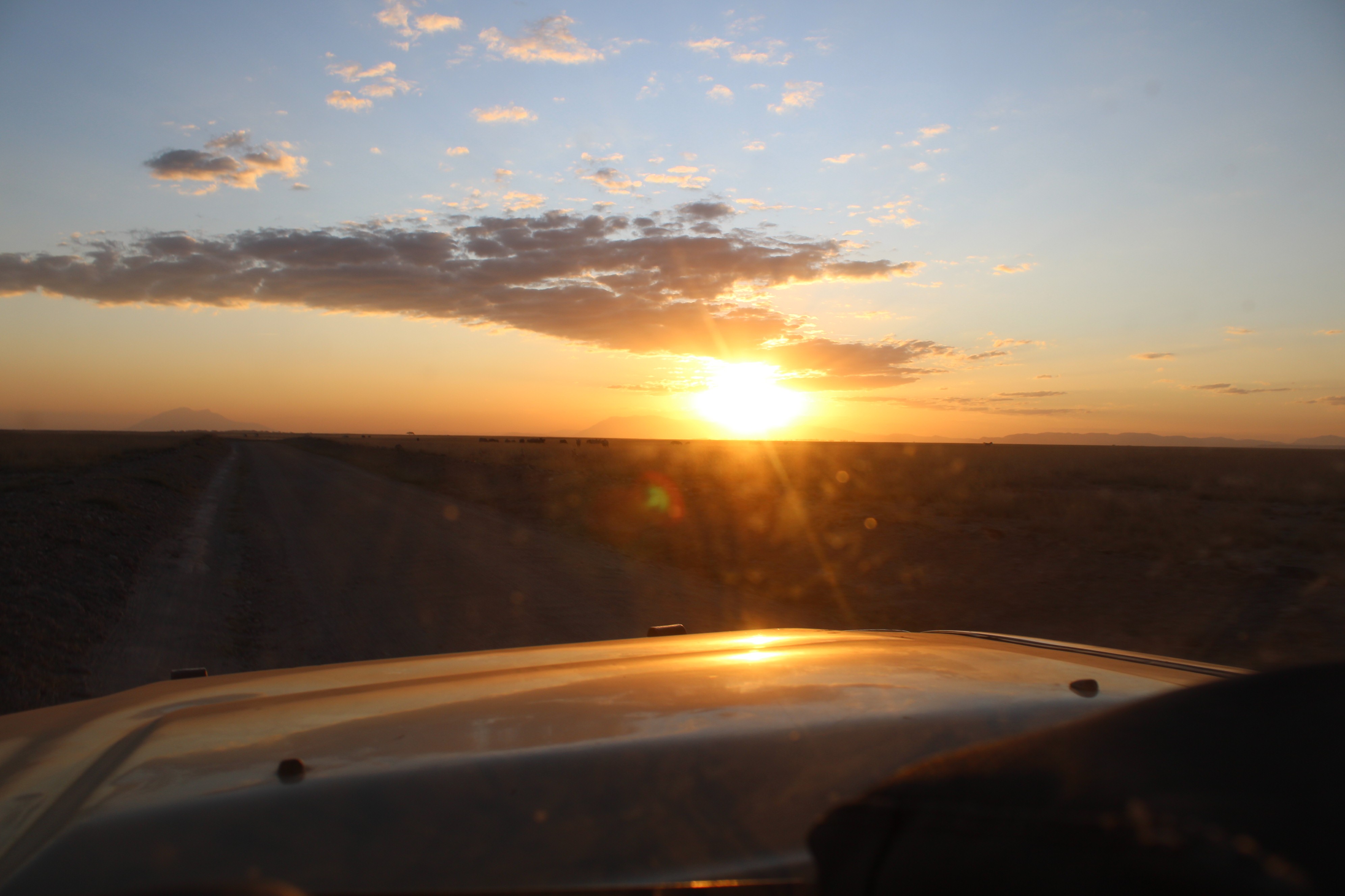 Adventure at a glance.: 8 Days Amboseli,Ol pejeta, Masai Mara safari.