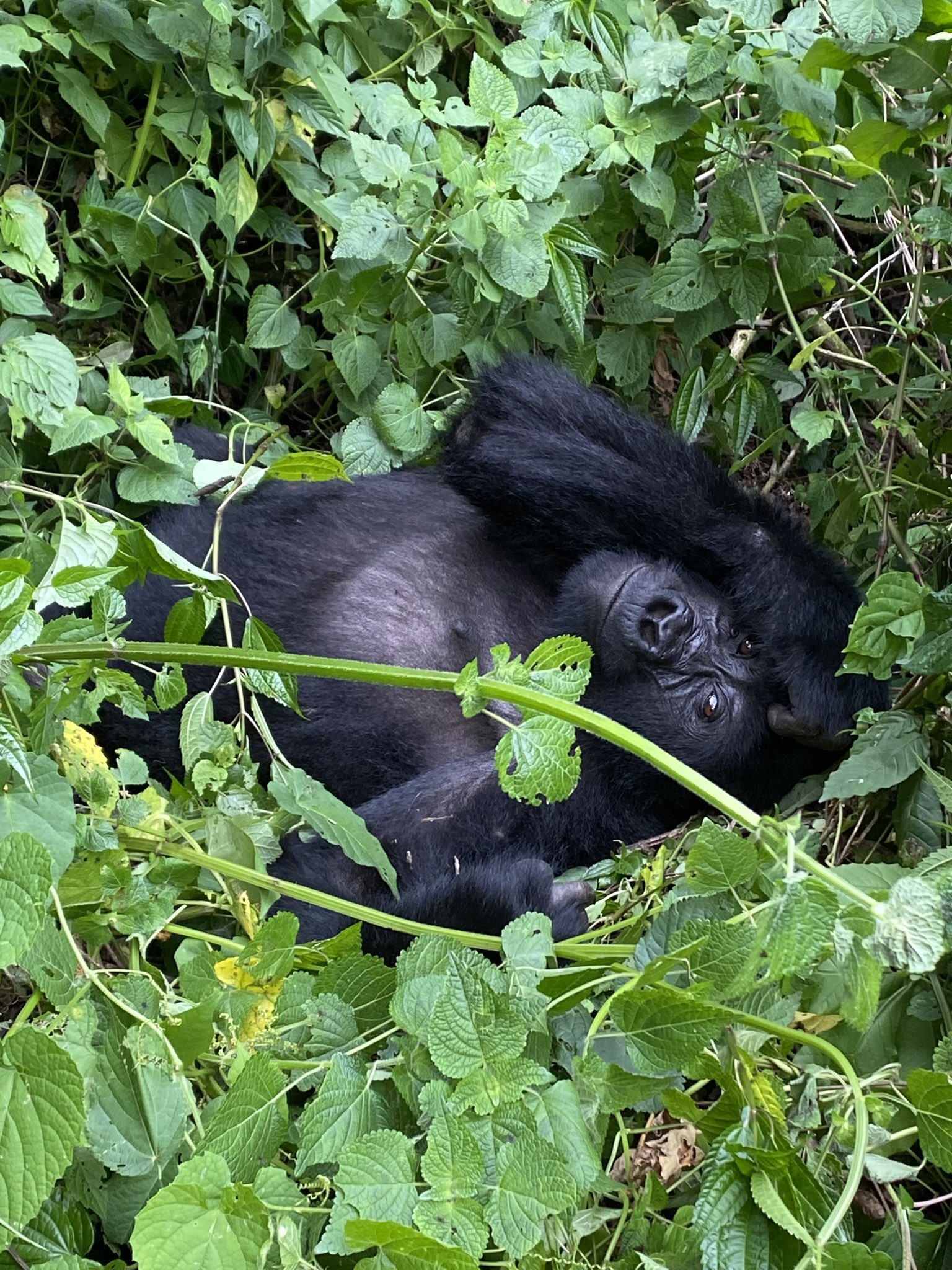 7Days : Kenya -UGANDA BUDGET SAFARI