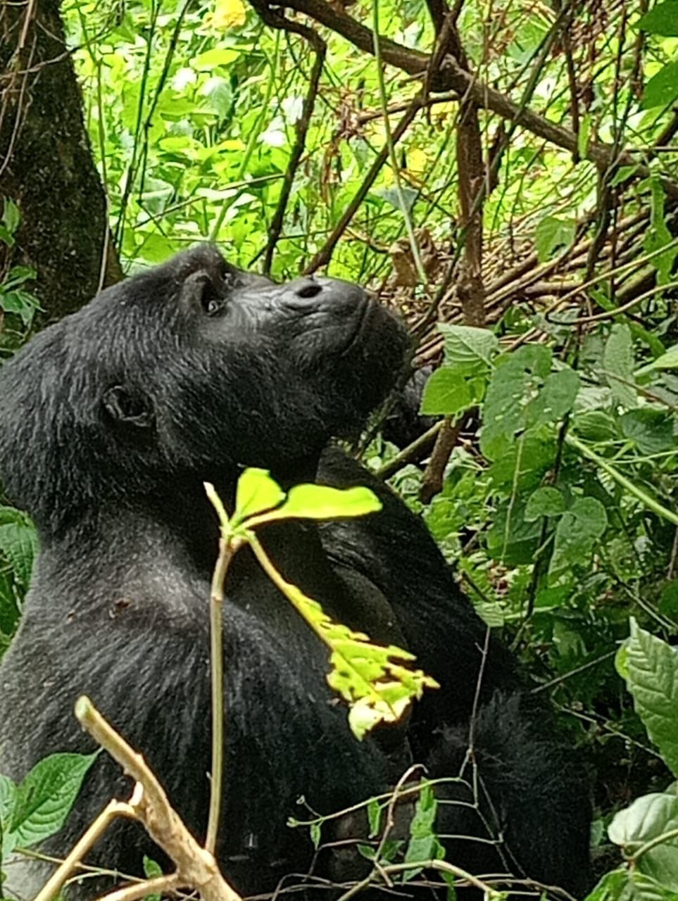 7Days : Kenya -UGANDA BUDGET SAFARI