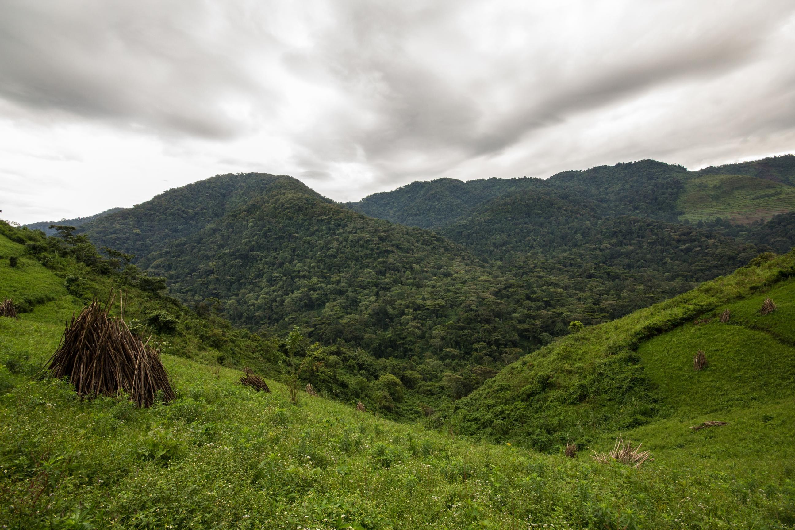 7Days : Kenya -UGANDA BUDGET SAFARI